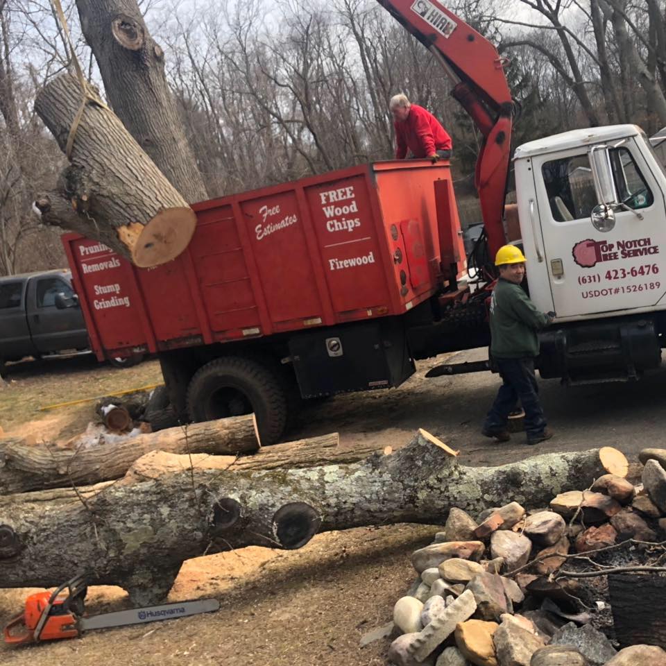Top Notch Tree Service, Inc. | Huntington Station NY