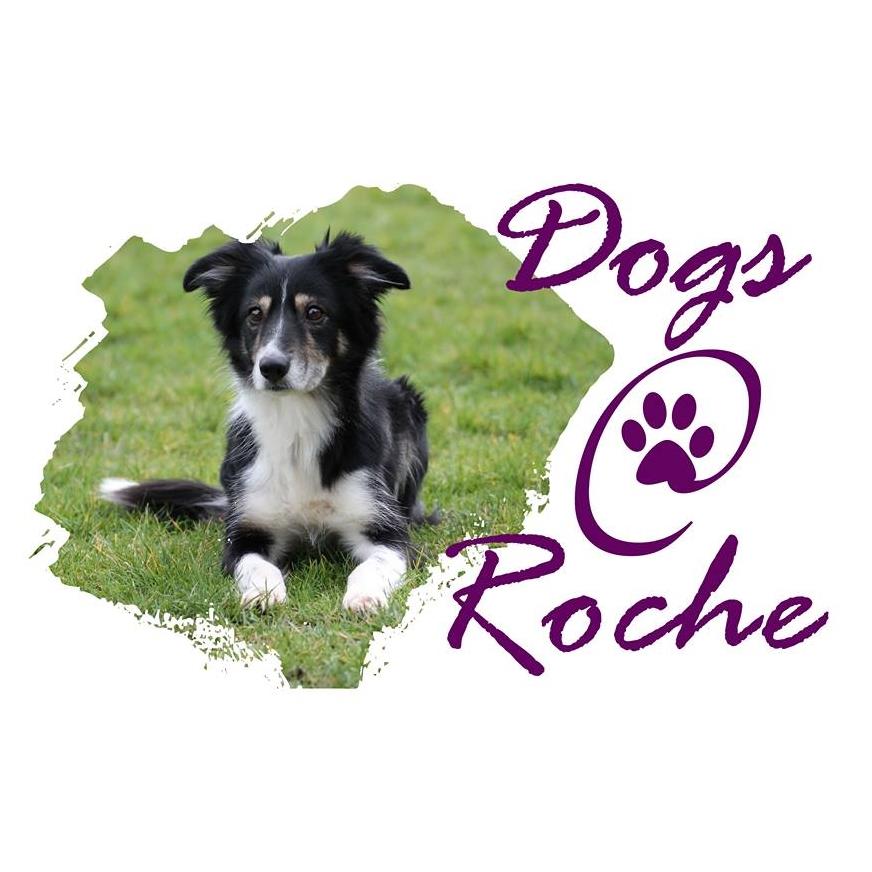 Dogs at Roche | Roche-lès-Beaupré