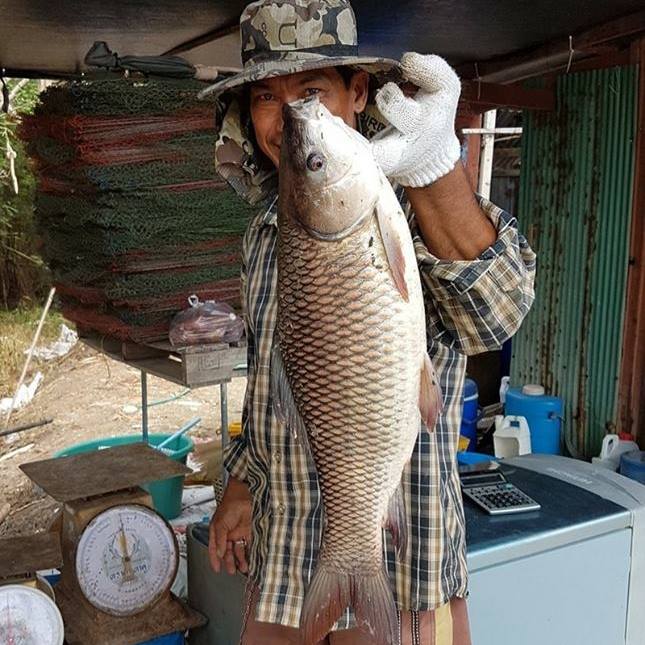 บ่อตกปลามานะ Mana's Fishing | Samut Sakhon