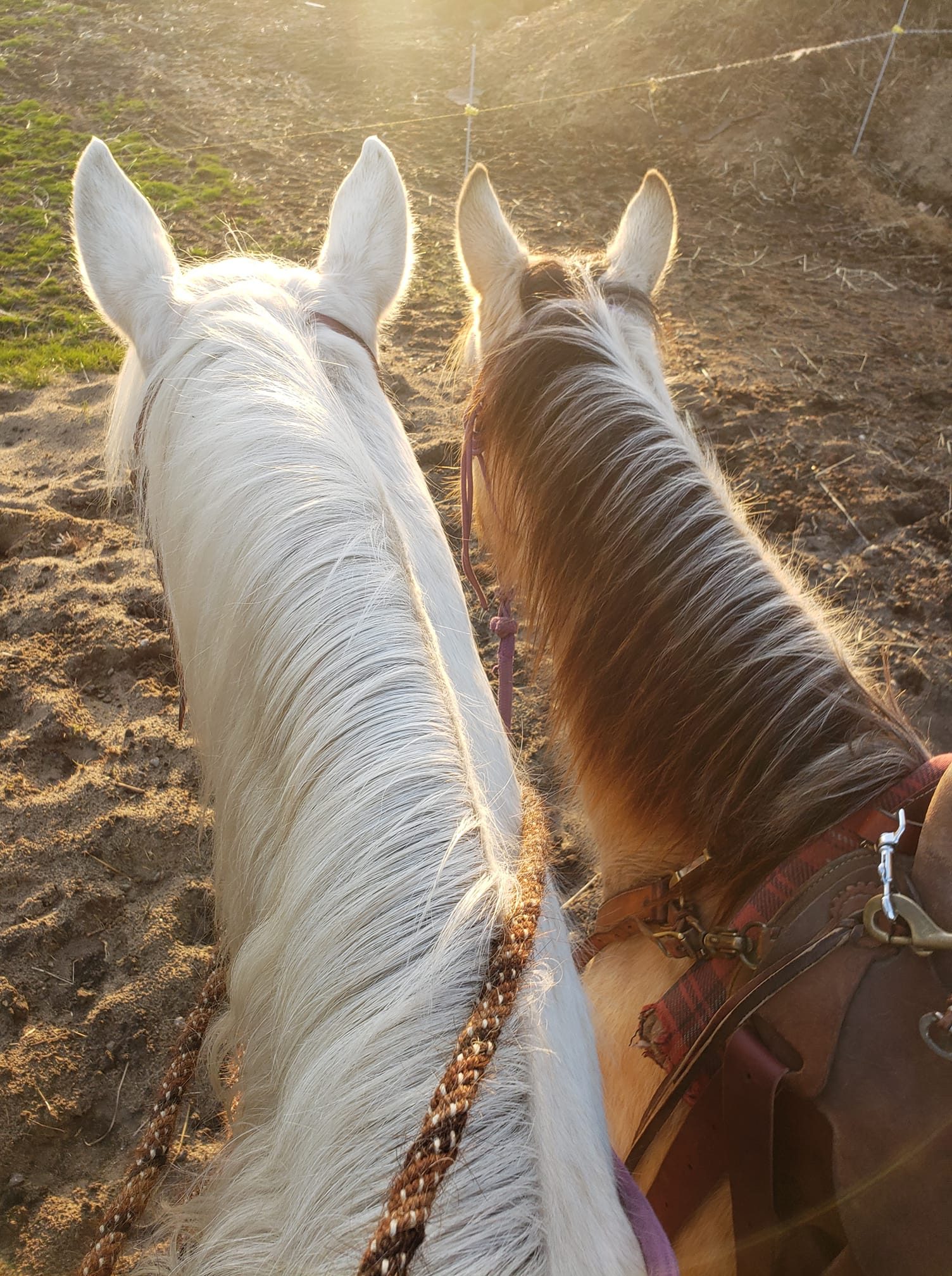 Roseland Ranch - Roseland Ranch added a new photo.