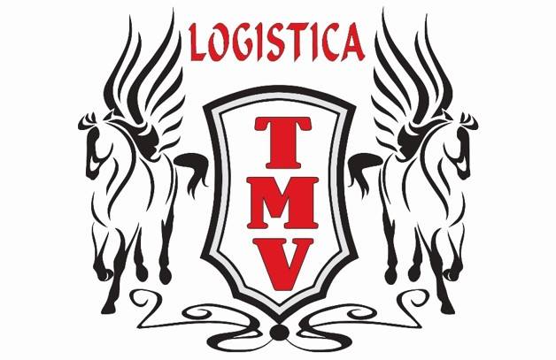 TMV Logística En Transportes