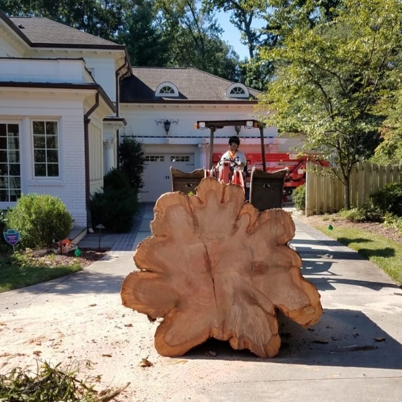 Arbor Masters Tree Service | Summerfield NC