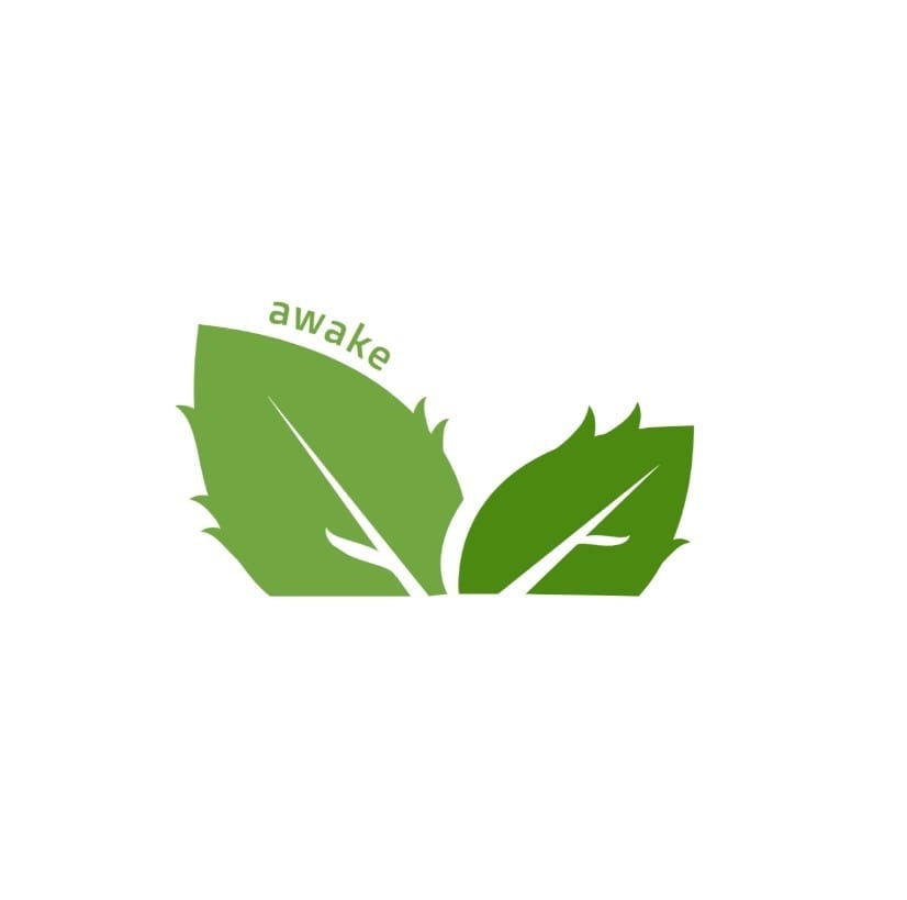 醒 Awake