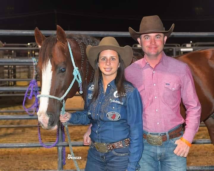 Sharp Performance Horses