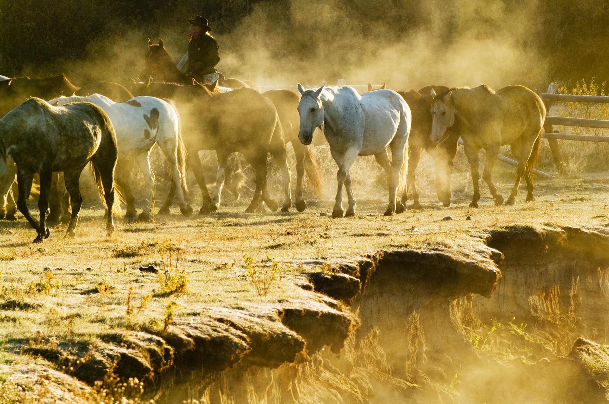 Deep Roots Ranch TX