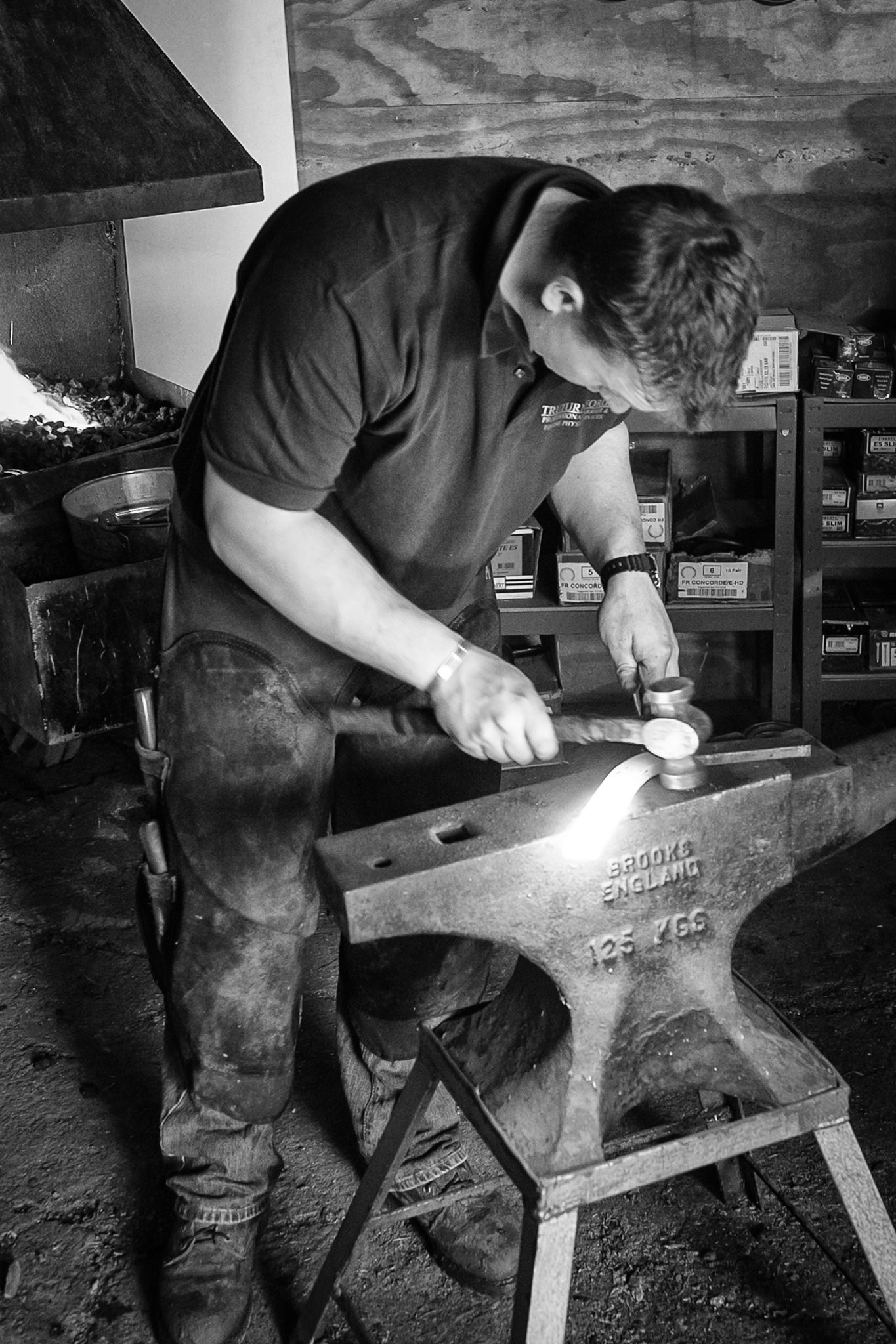Truturn Forge | Berkeley