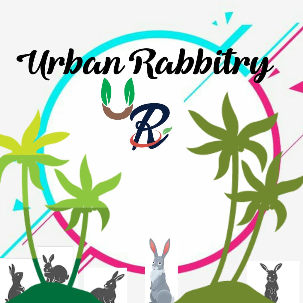 Urban Rabbitry | Labuan