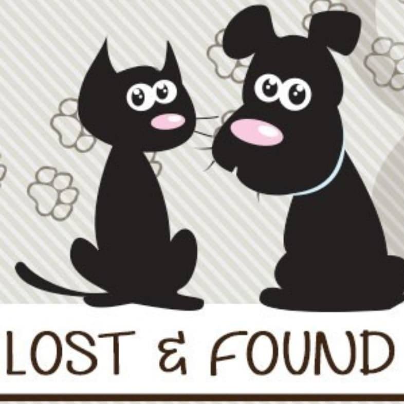 Mullingar Dog Pound | Facebook