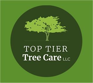 Top Tier Tree Care | Jefferson OR