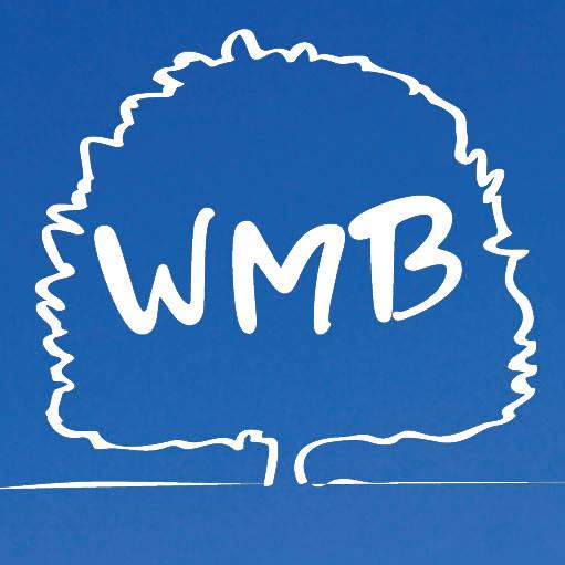 WMB Skincare - ️敏感肌專屬急救！極速退紅嘅「冰鎮藍雪花」... | Facebook