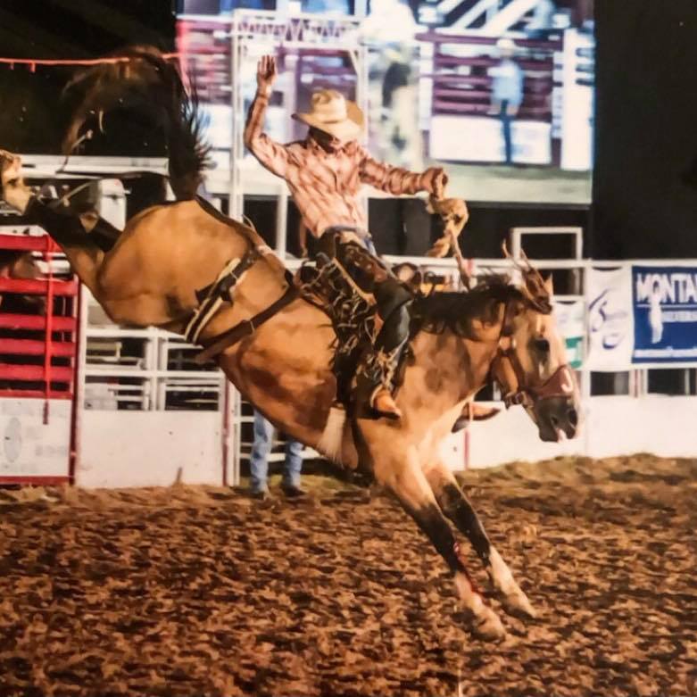 Mike Outhier Bucking Horses | Utopia TX