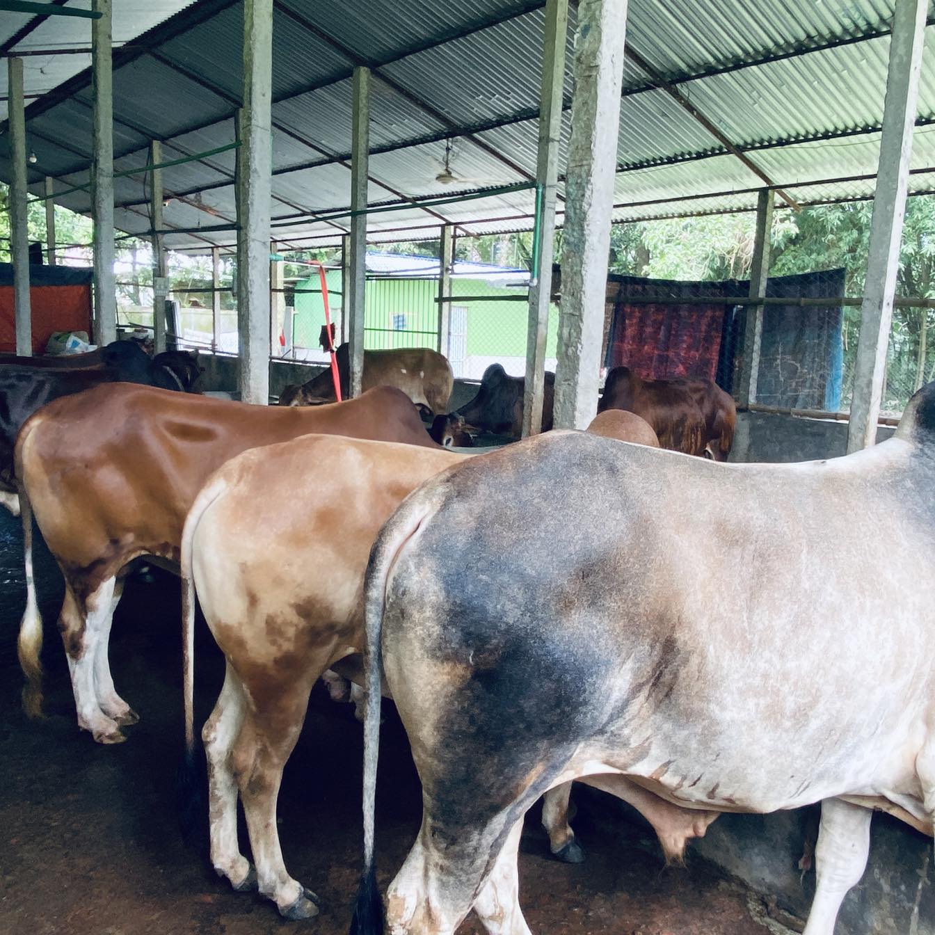 Unity Agro Farm