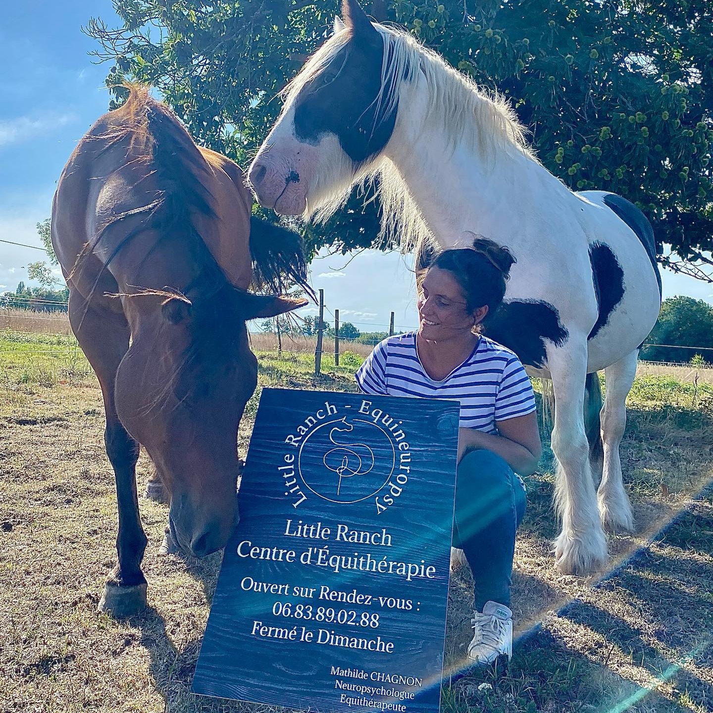 Mathilde Chagnon - Equineuropsy - Bonjour à tous, comme certains d ...