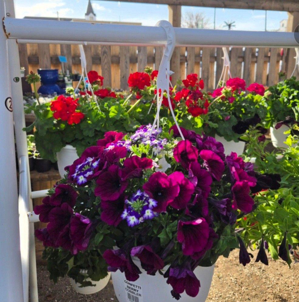 Grass Roots Garden Hub & Floral, Inc. | Atwood KS