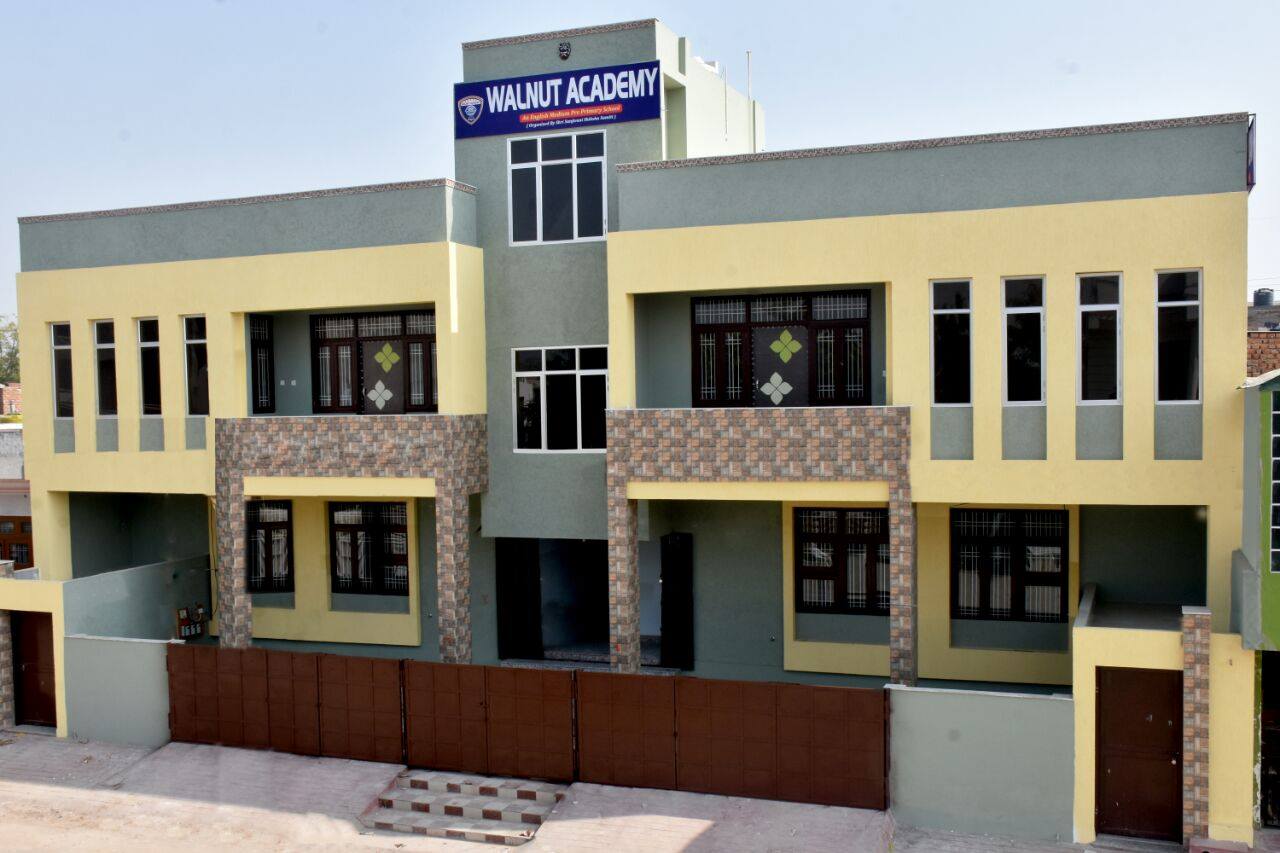 Walnut Academy | Jaipur