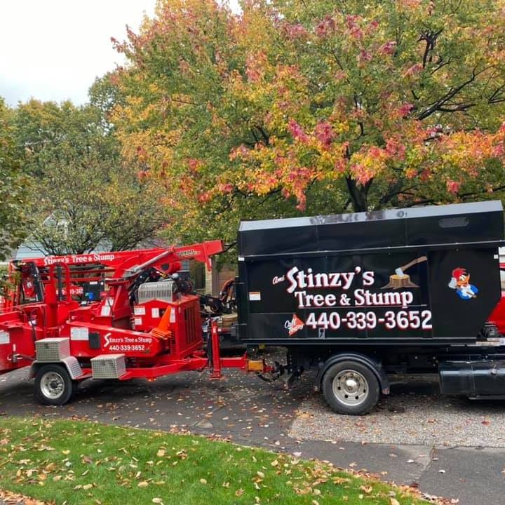 Stinzys Tree and Stump Inc | Eastlake OH