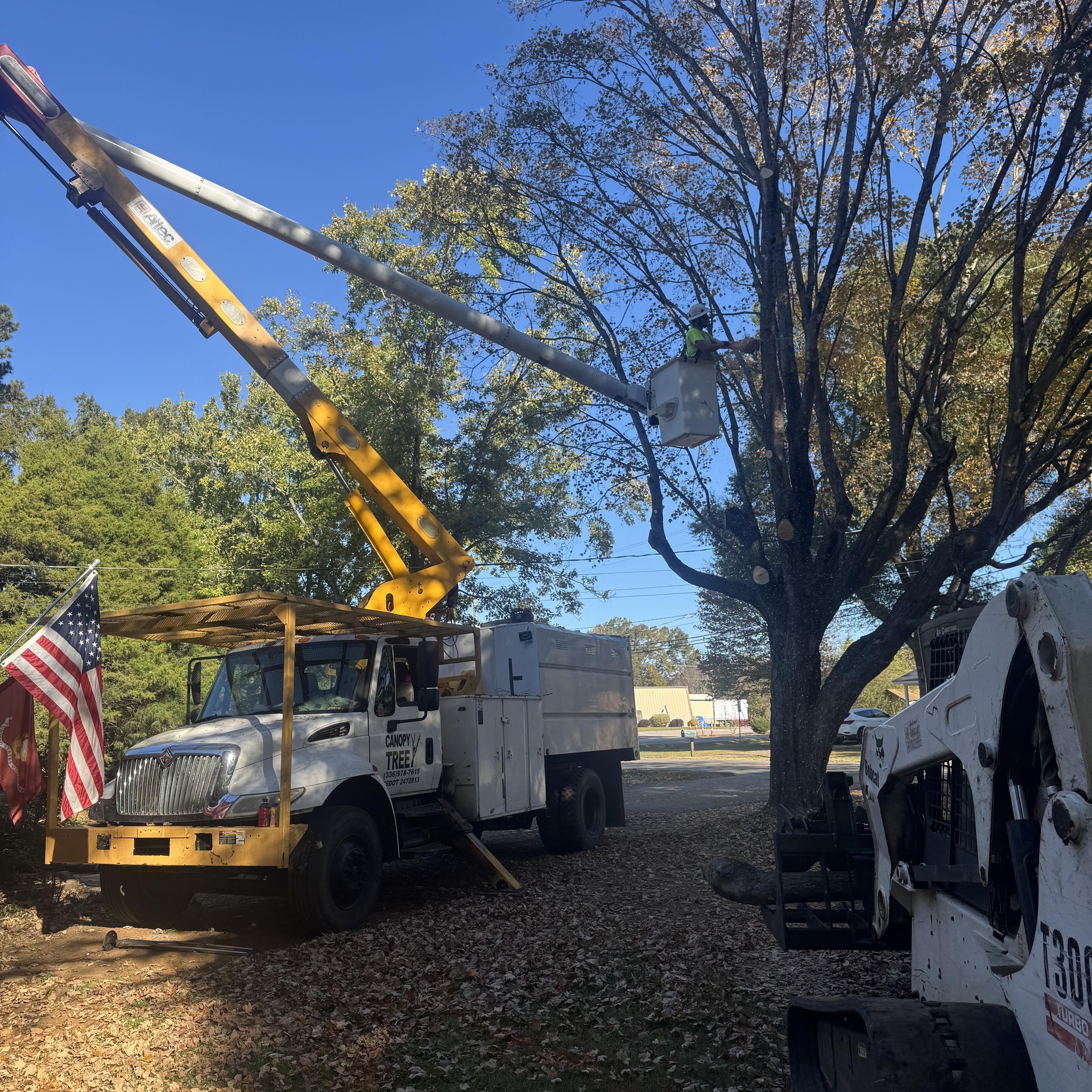 Canopy Tree Service | Mocksville NC
