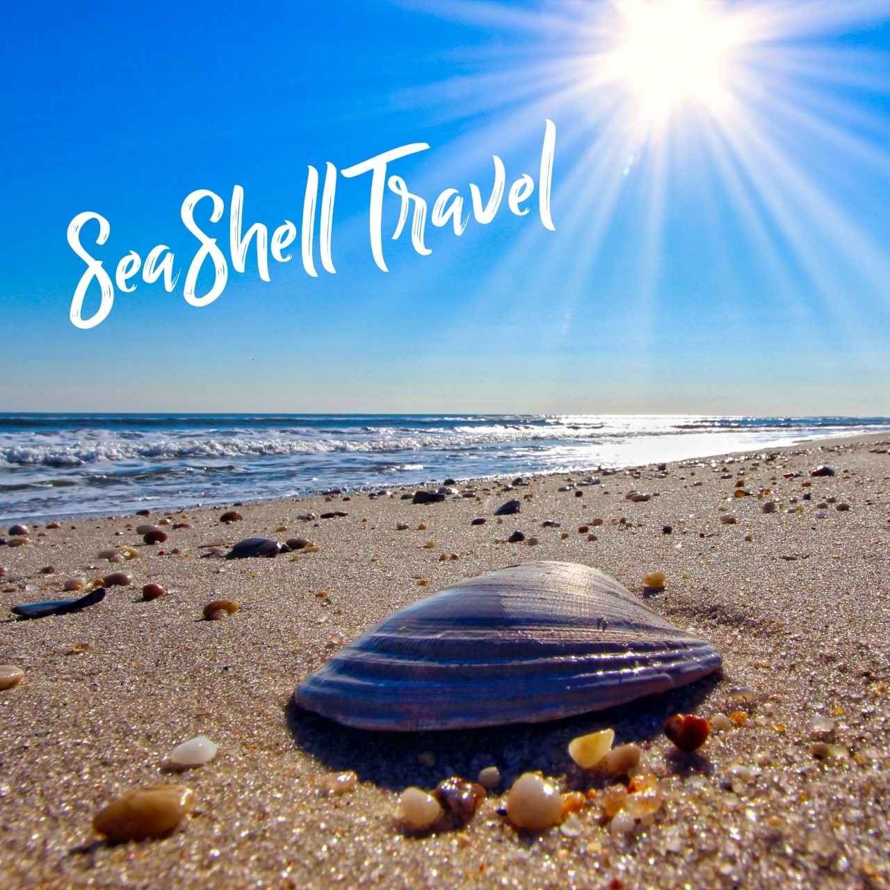 SeaShell - Where will your next adventure be? Not sure? That's OK too ...