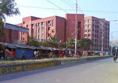 Sujauddin F Sohan
