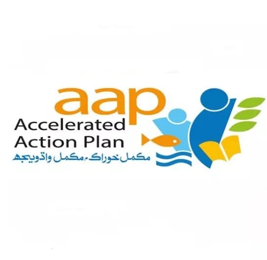 Accelerated Action Plan - AAP Health Department
