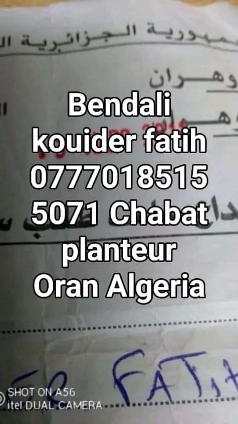 Bendali Be'dali