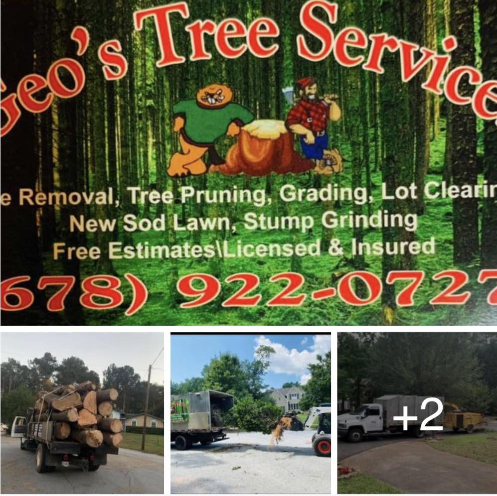 Geo's Tree Services LLC 678-922-0727 | Peachtree City GA