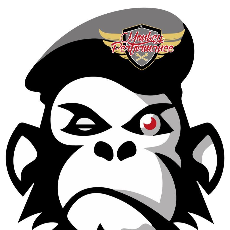 Monkey Performance