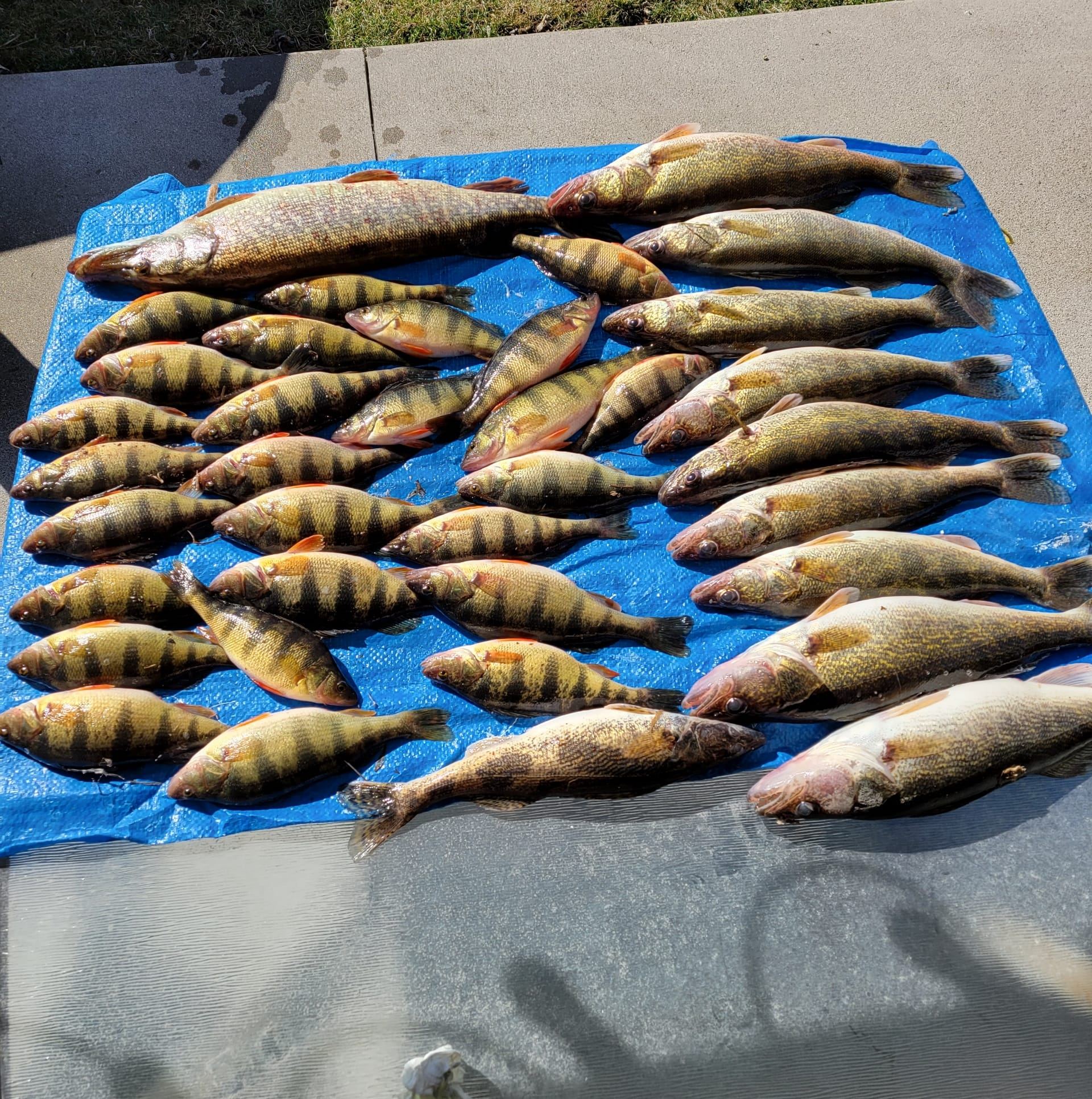 That delivery would make any dad proud. Good work, Evan!🎣 | Joe Okada