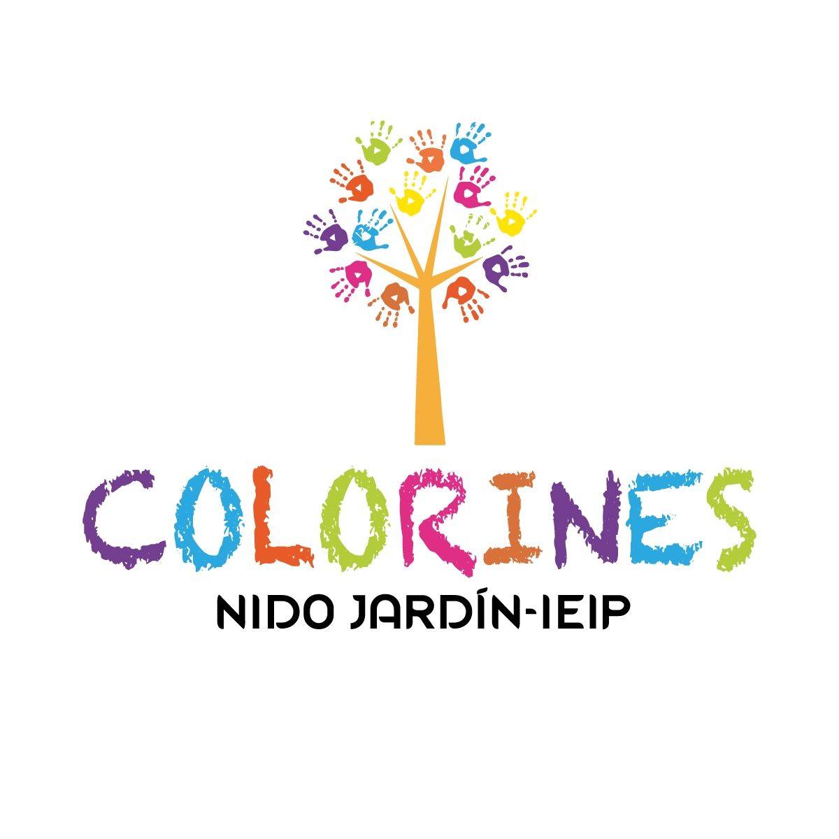 Nido Colorines | Andahuaylas