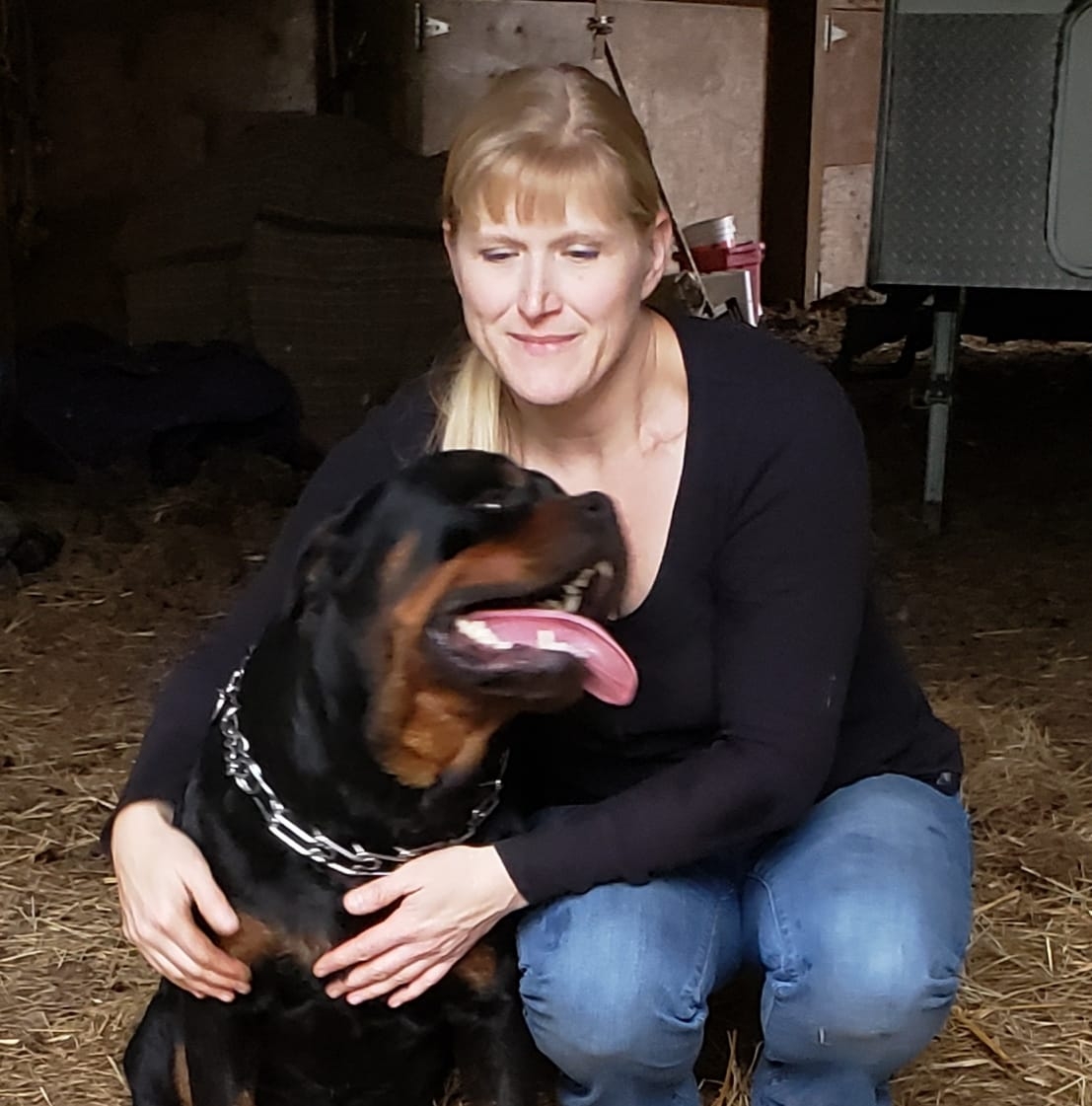 Divine Rottweilers | Cottage Grove OR
