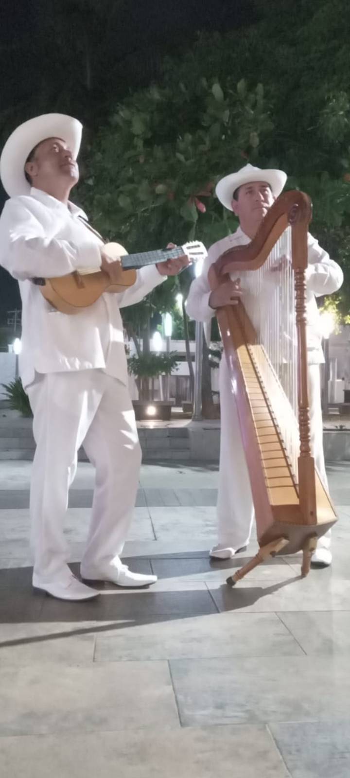 Conjunto Jarocho Alma De Pirata