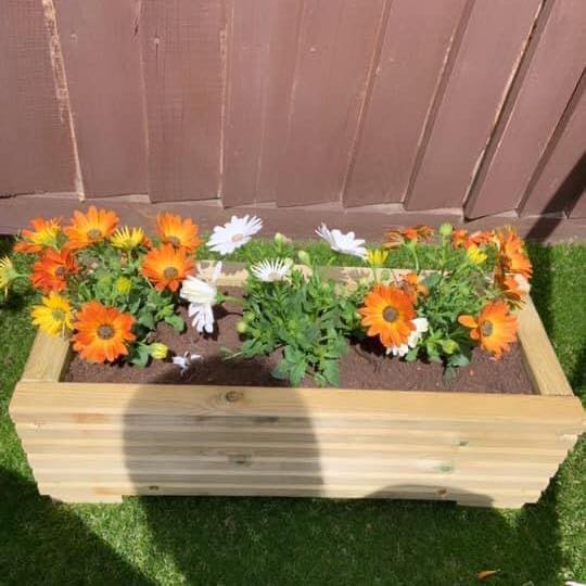 Planters R us | Newhaven