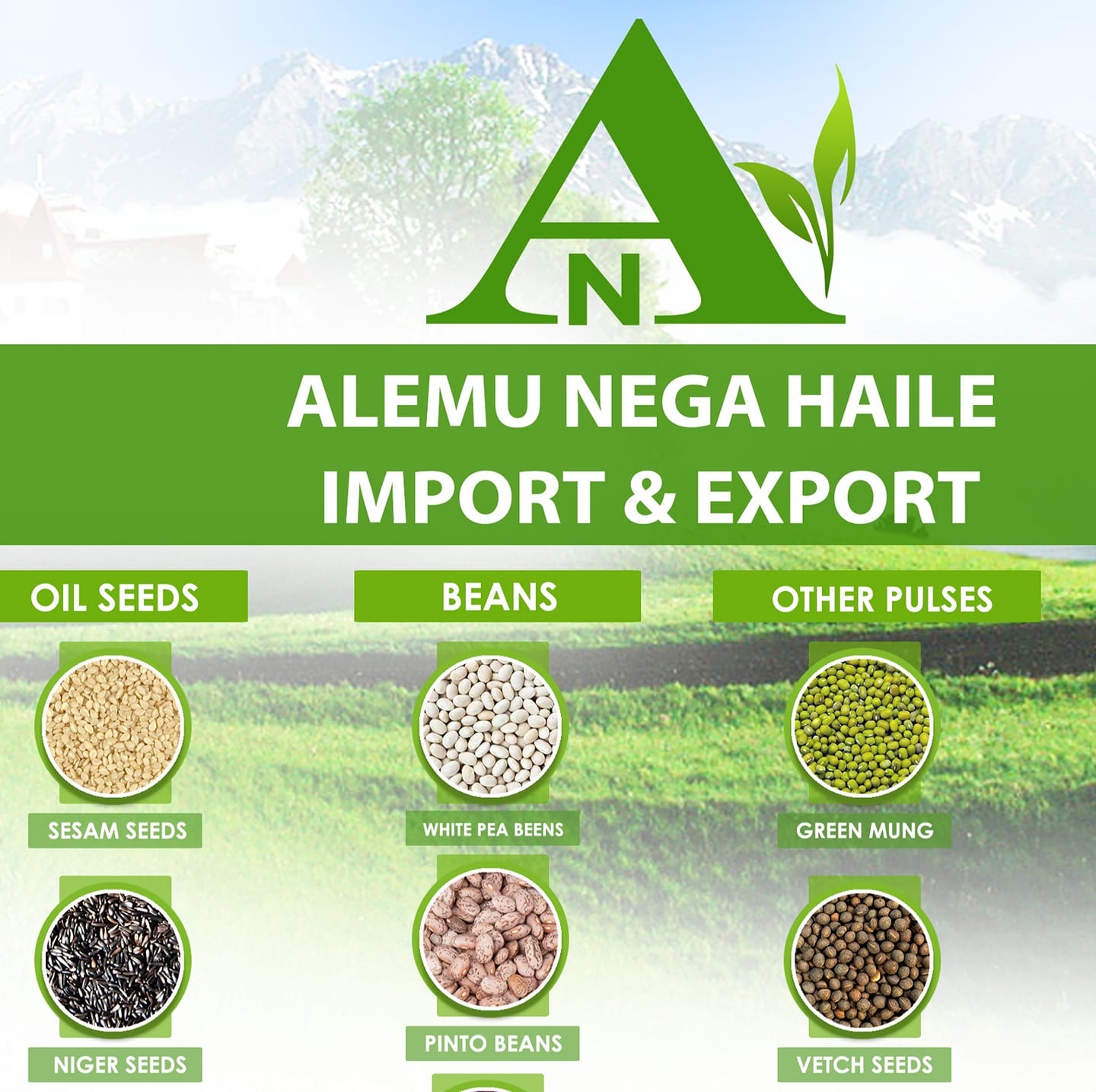 Alemu Nega Haile Import and Export