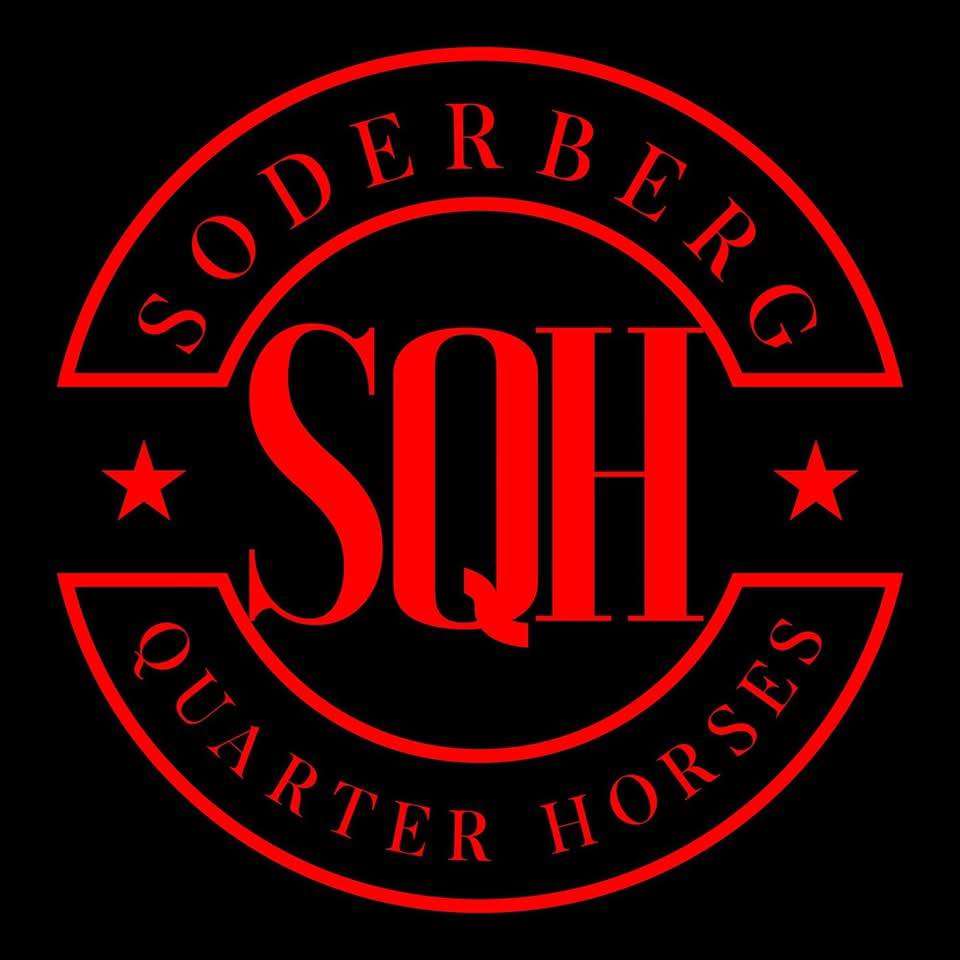 Soderberg Quarter Horses | Red Deer AB