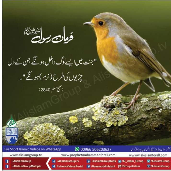 Muhammad Sajid Rabnawaz