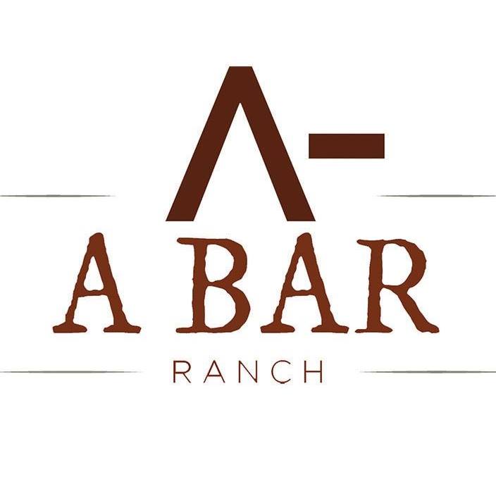 A Bar Ranch - 🔹 The horse sale catalog is ready folks! 🔹... | Facebook