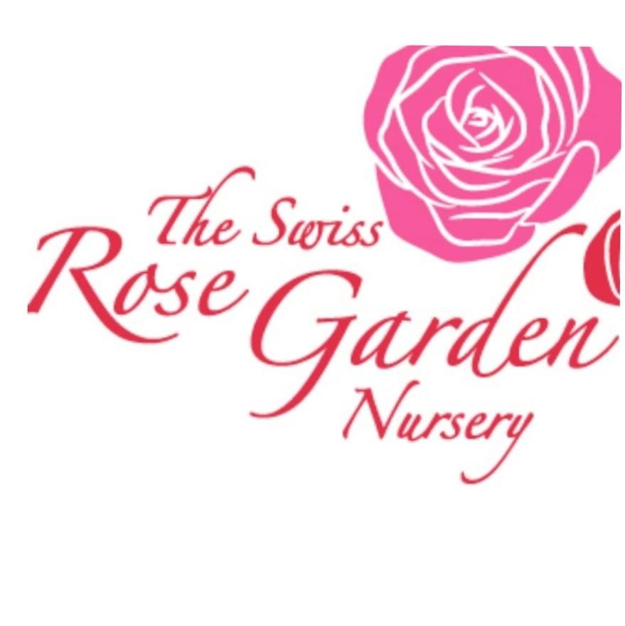 🌹 A QUICK CLARIFICATION ABOUT... - Swiss Rose Garden Nursery | Facebook