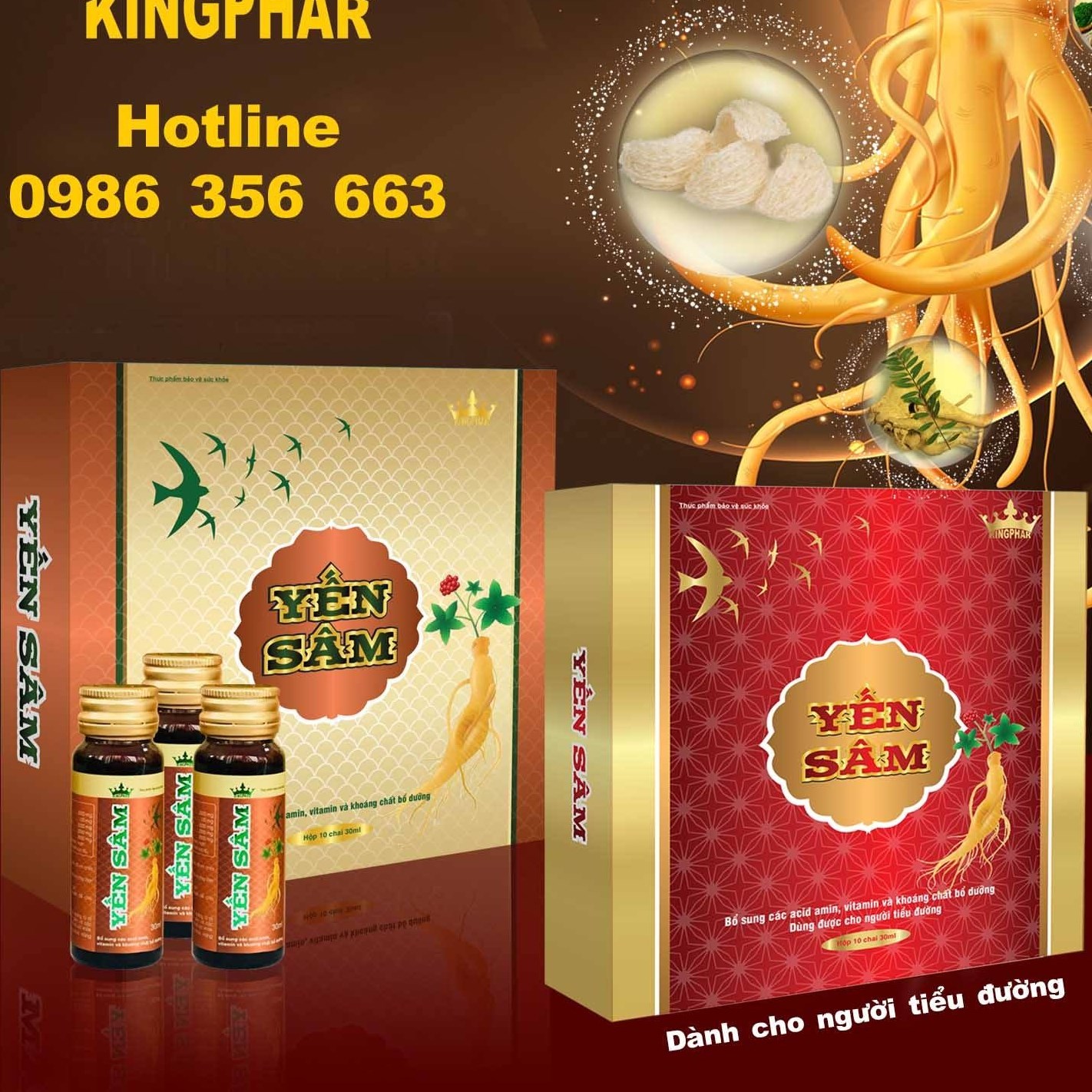 YẾN SÂM Kingphar | Hanoi
