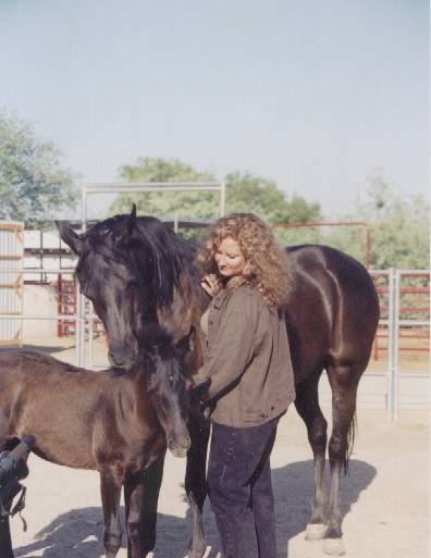 Shelley Rosenberg