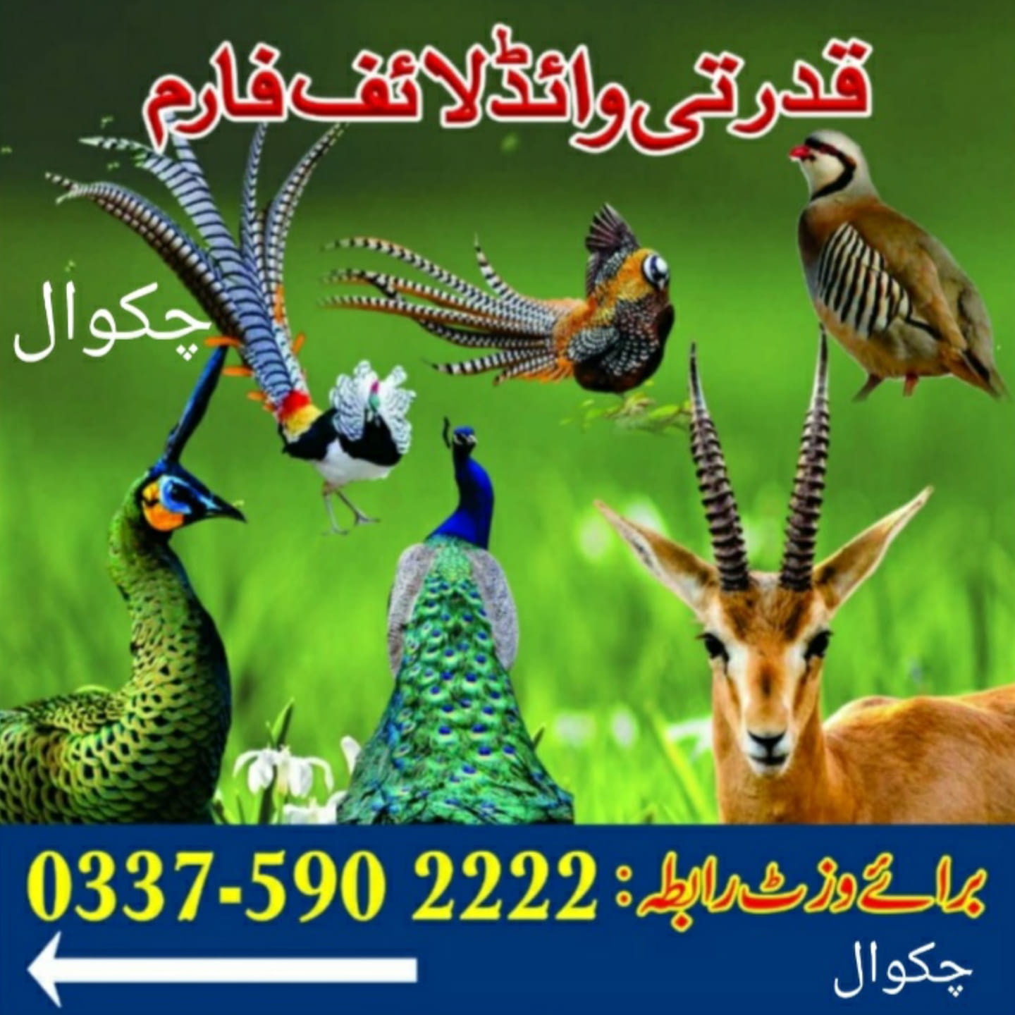 وائلڈ لائف فارم ، چکوال | Chakwal
