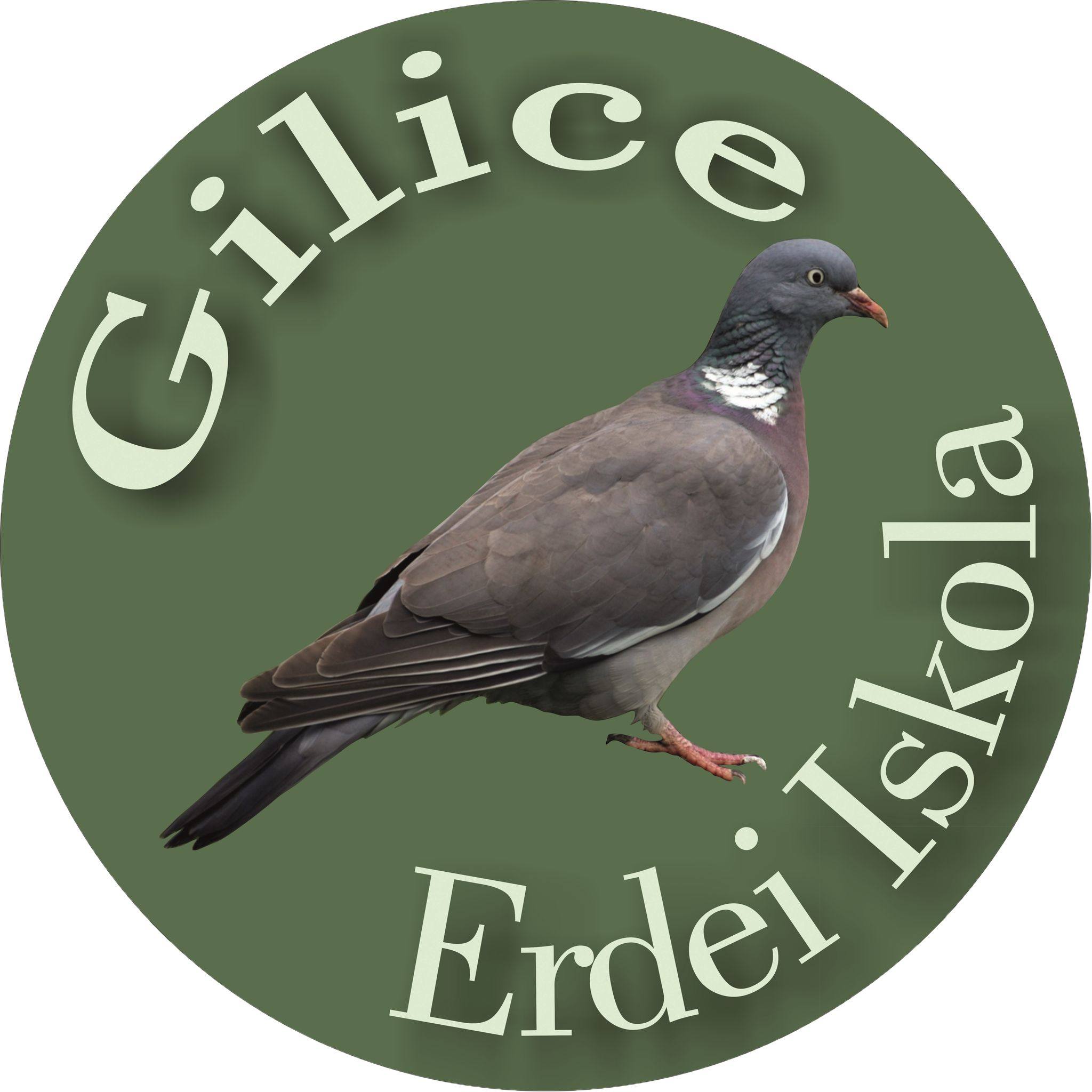 Gilice Erdészeti Erdei Iskola és Óvoda | Székesfehérvár