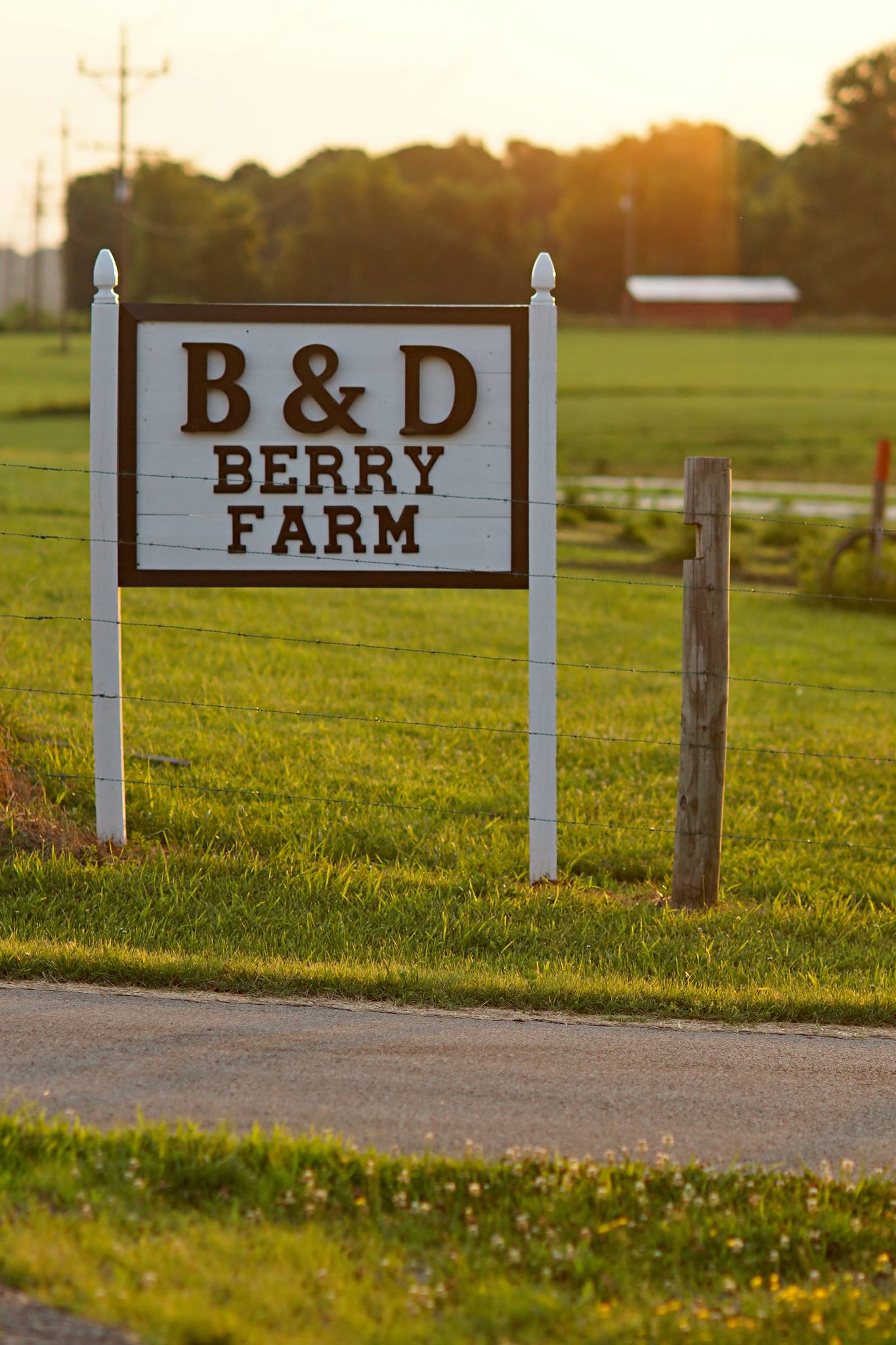 B&D Berry Farm | Peebles OH