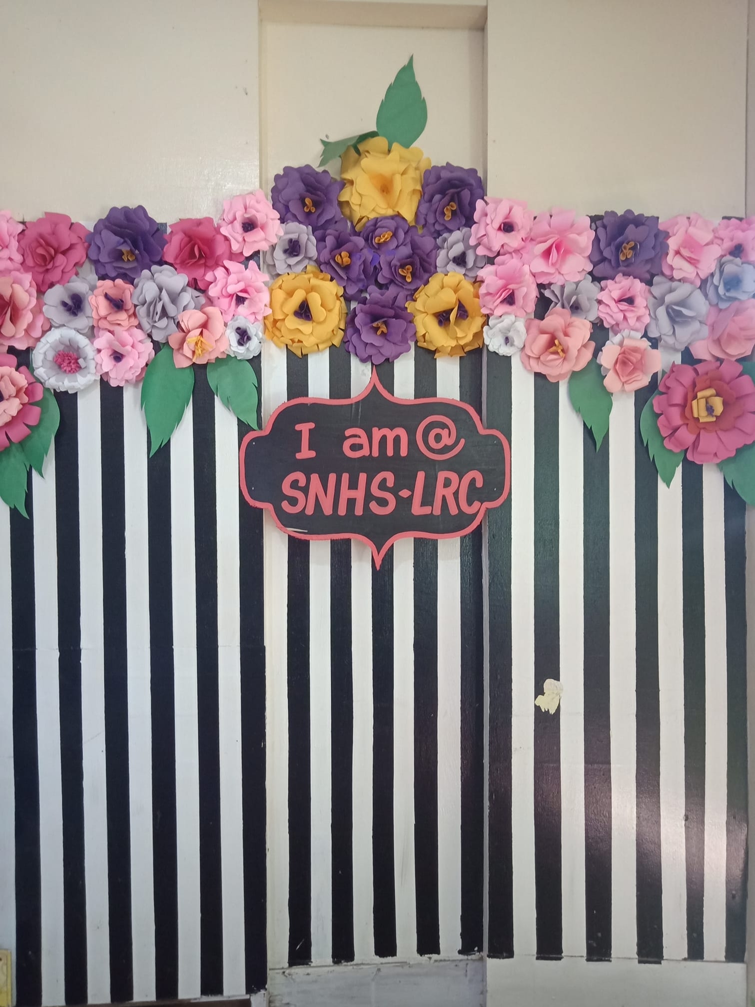 Learningresourcecenter-SNHS | Catbalogan