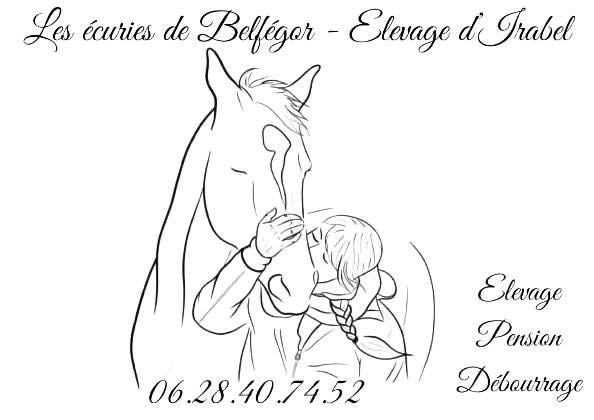 Les écuries de Belfégor - Elevage d'Irabel
