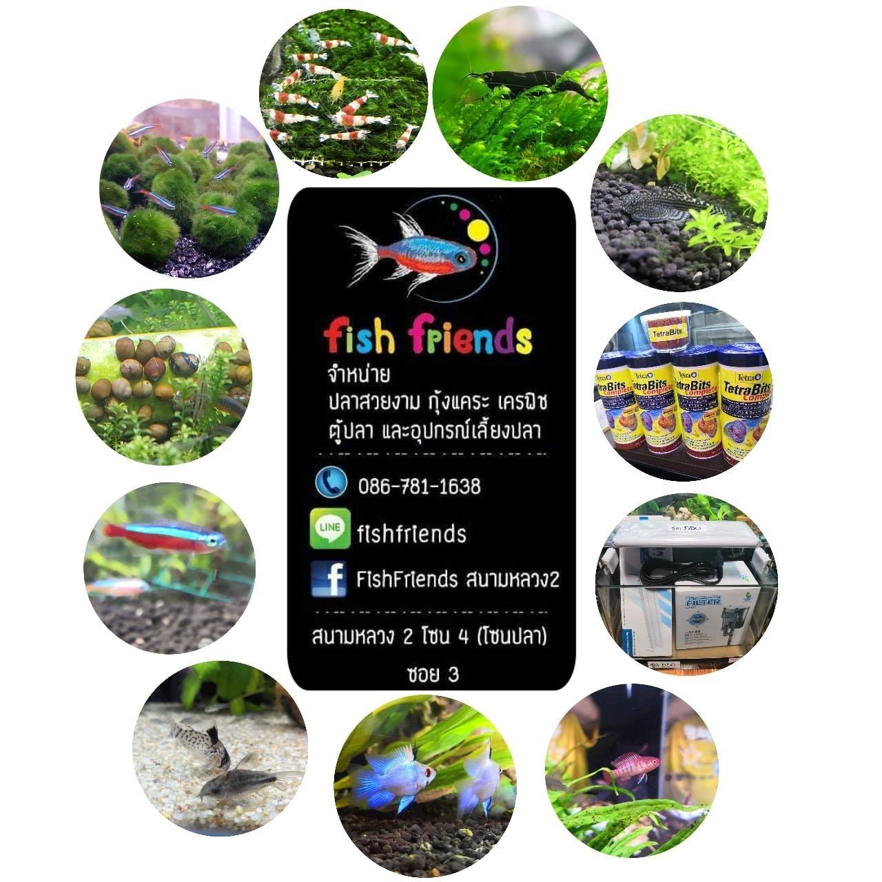 Fish Friends สนามหลวง2 | Bangkok