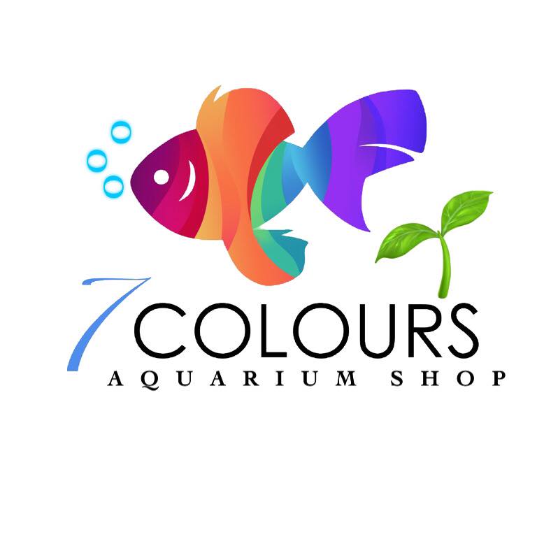 Available Imported Goldfish Red... - 7Colours Aquarium Shop | Facebook
