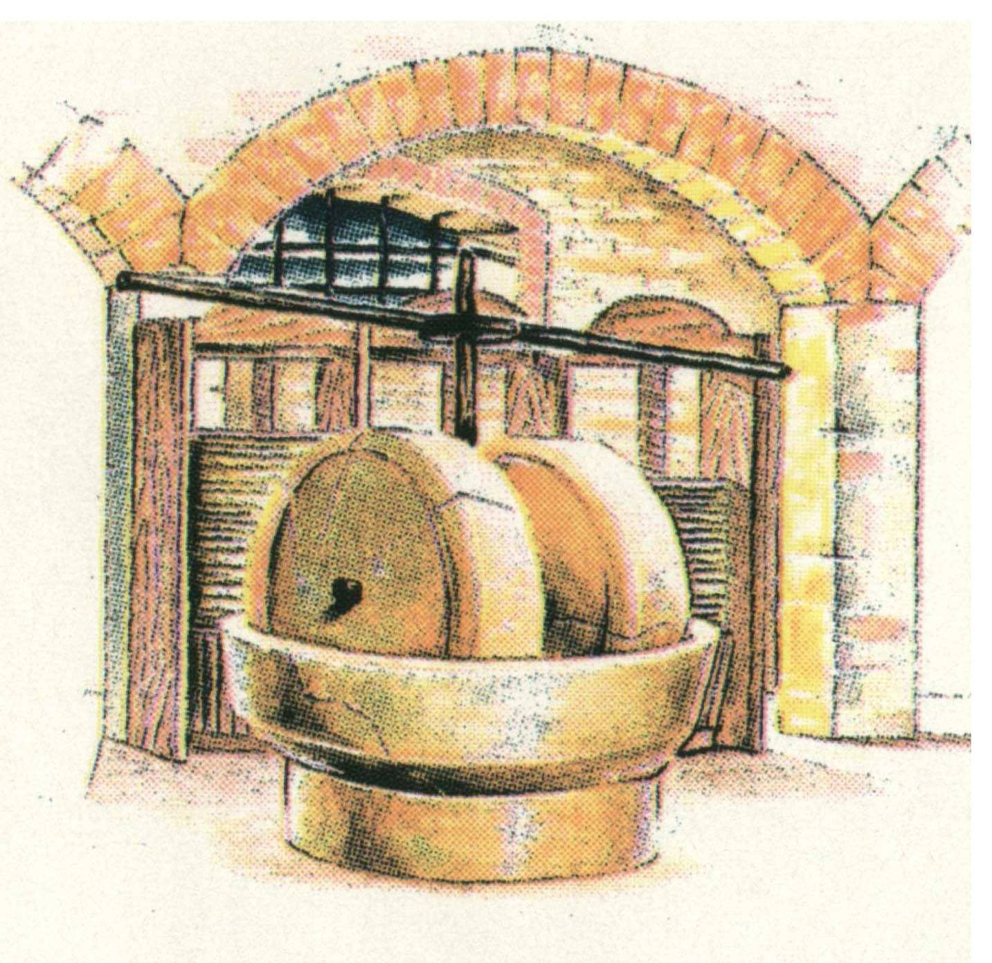 Frantoio 