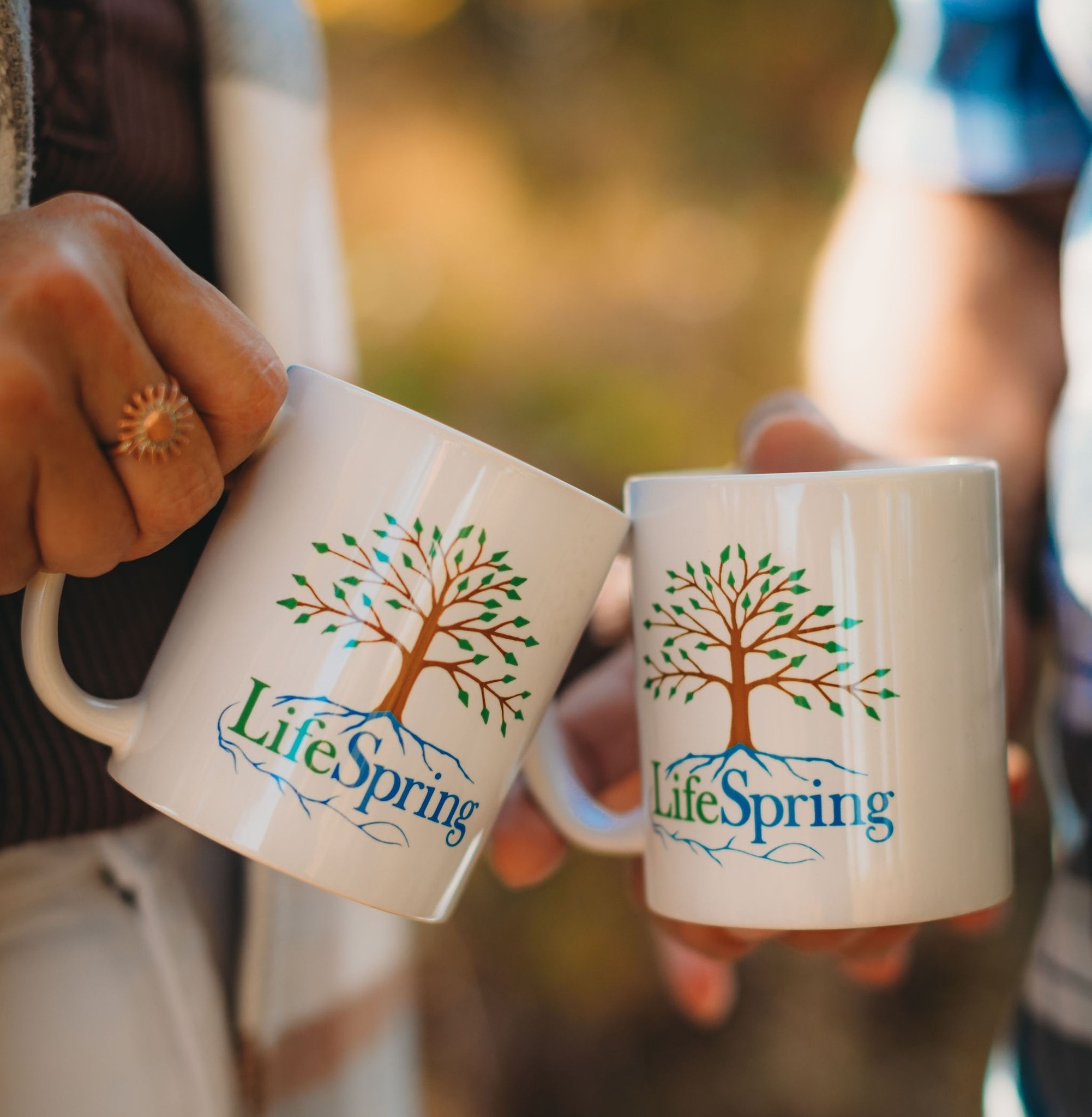 LifeSpring Counseling Services, PLLC | Michigan Center MI