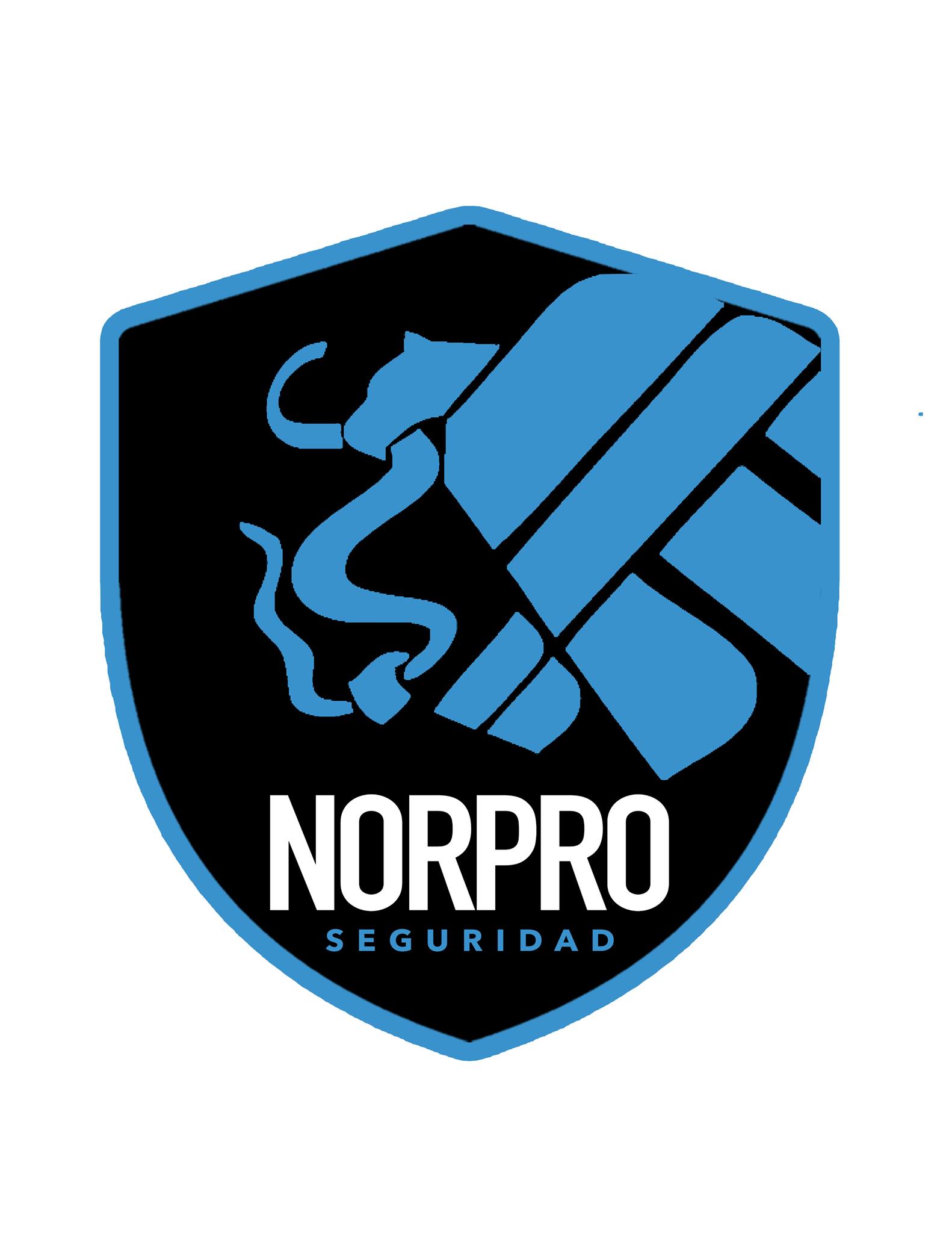 Norpro Seguridad | Ciudad Juárez