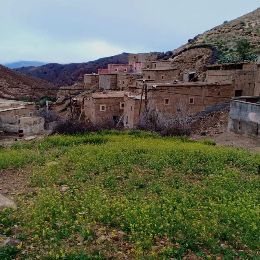 24-taliouine-taliouine